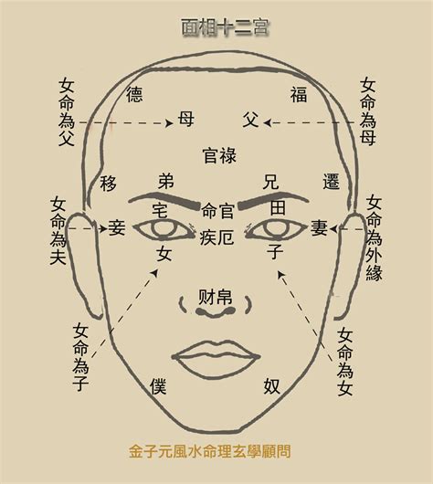 眉頭紋面相